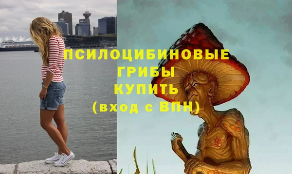 spice Алексин