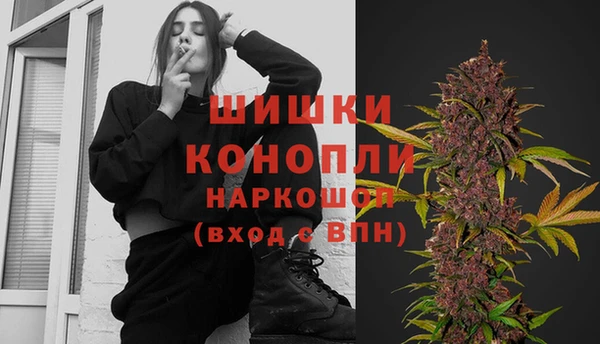 сатива Алзамай