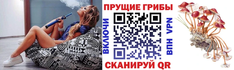 omg как войти  Чухлома  Галлюциногенные грибы Magic Shrooms  даркнет сайт 